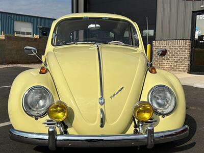 1965 Volkswagen Beetle  