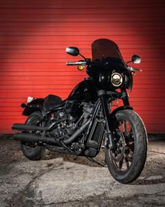 2022 Harley-Davidson Custom  