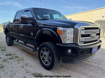 2015 Ford F-250 Super Duty Platinum - Photo 6 - Valentine, NE 69201