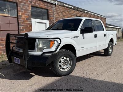 2014 Ford F-150 XL Truck