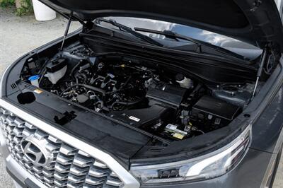 2021 Hyundai PALISADE Limited   - Photo 46 - Dallas, TX 75220
