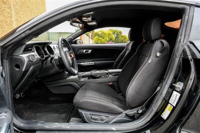 2019 Ford Mustang EcoBoost   - Photo 4 - Dallas, TX 75220