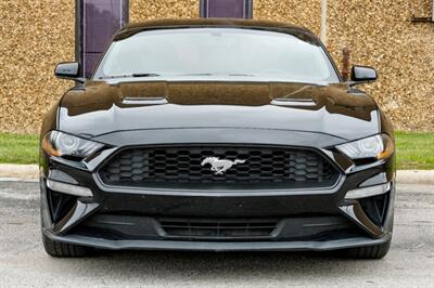 2019 Ford Mustang EcoBoost   - Photo 6 - Dallas, TX 75220
