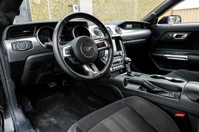 2019 Ford Mustang EcoBoost   - Photo 3 - Dallas, TX 75220