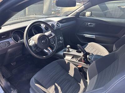 2015 Ford Mustang GT   - Photo 3 - Albuquerque, NM 87107