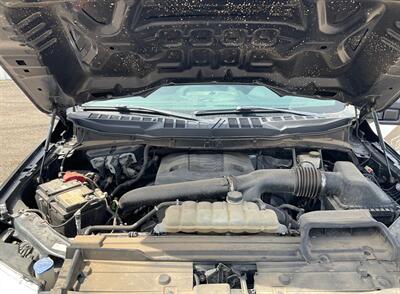 2022 Ford F-150 XL - Photo 13 - Albuquerque, NM 87107