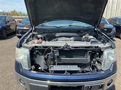 2014 Ford F-150 XLT   - Photo 17 - Albuquerque, NM 87107
