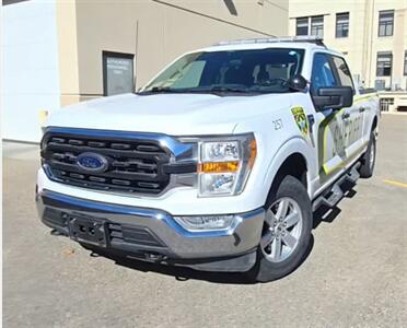 2021 Ford F-150 XLT   - Photo 3 - Albuquerque, NM 87107