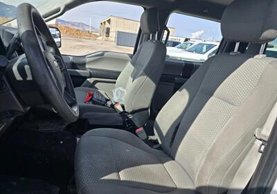 2019 Ford F-150 XLT   - Photo 4 - Albuquerque, NM 87107