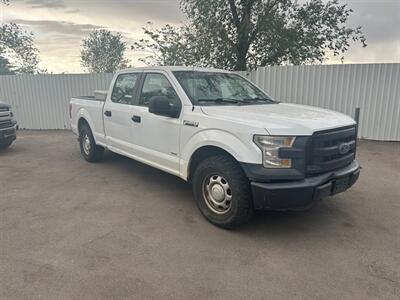 2015 Ford F-150 XL Truck