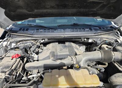 2019 Ford F-150 XLT   - Photo 21 - Albuquerque, NM 87107