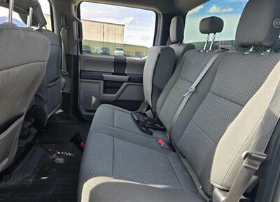 2019 Ford F-150 XLT   - Photo 15 - Albuquerque, NM 87107