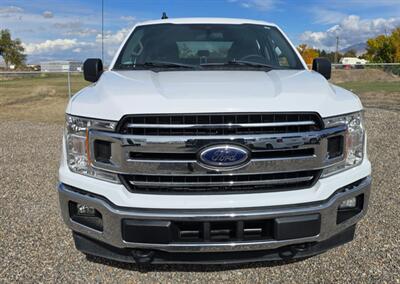 2019 Ford F-150 XLT   - Photo 4 - Albuquerque, NM 87107