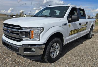 2019 Ford F-150 XLT   - Photo 3 - Albuquerque, NM 87107