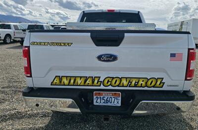 2019 Ford F-150 XLT   - Photo 11 - Albuquerque, NM 87107