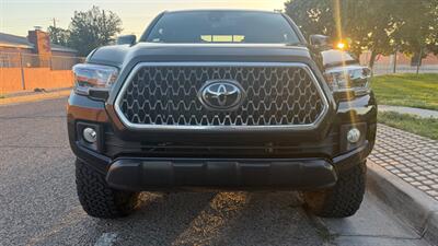 2019 Toyota Tacoma TRD Off-Road   - Photo 4 - Albuquerque, NM 87107