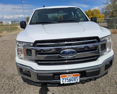 2019 Ford F-150 XLT   - Photo 4 - Albuquerque, NM 87107