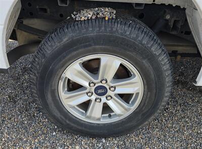 2019 Ford F-150 XLT   - Photo 18 - Albuquerque, NM 87107