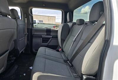 2019 Ford F-150 XLT   - Photo 13 - Albuquerque, NM 87107
