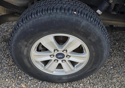 2019 Ford F-150 XLT   - Photo 16 - Albuquerque, NM 87107