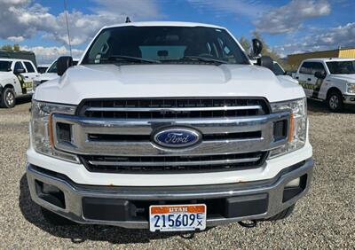2019 Ford F-150 XLT   - Photo 4 - Albuquerque, NM 87107