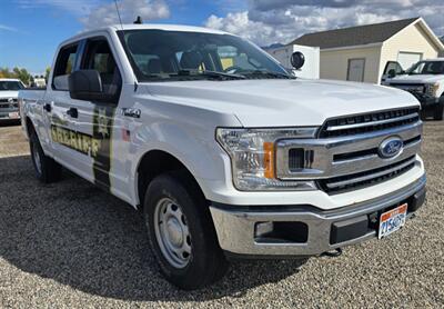 2019 Ford F-150 XLT Truck