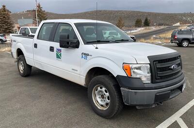 2014 Ford F-150 XL Truck