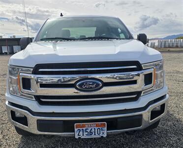 2019 Ford F-150 XLT   - Photo 4 - Albuquerque, NM 87107