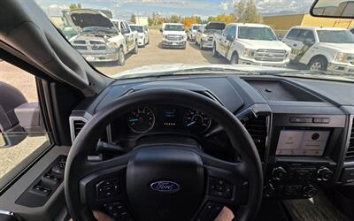 2019 Ford F-150 XLT   - Photo 23 - Albuquerque, NM 87107