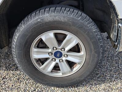 2019 Ford F-150 XLT   - Photo 17 - Albuquerque, NM 87107