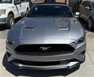 2022 Ford Mustang EcoBoost   - Photo 4 - Albuquerque, NM 87107