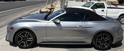 2022 Ford Mustang EcoBoost   - Photo 5 - Albuquerque, NM 87107