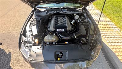 2017 Ford Mustang GT   - Photo 13 - Albuquerque, NM 87107