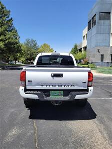 2019 Toyota Tacoma TRD Off-Road   - Photo 8 - Albuquerque, NM 87110