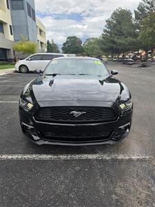 2016 Ford Mustang EcoBoost   - Photo 7 - Albuquerque, NM 87110
