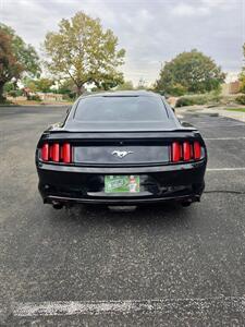2016 Ford Mustang EcoBoost   - Photo 8 - Albuquerque, NM 87110