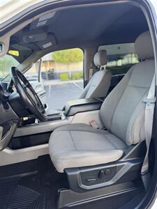 2019 Ford F-150 XLT   - Photo 9 - Albuquerque, NM 87110