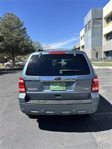2010 Ford Escape Limited   - Photo 8 - Albuquerque, NM 87110