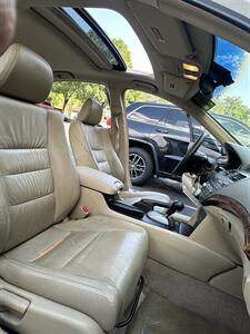 2008 Honda Accord EX-L   - Photo 14 - Albuquerque, NM 87110