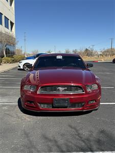 2014 Ford Mustang V6   - Photo 8 - Albuquerque, NM 87110