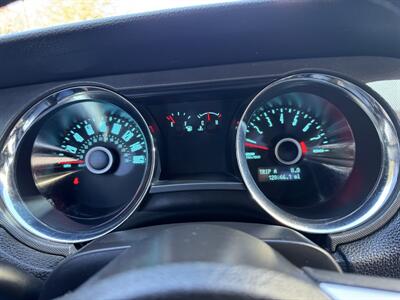 2014 Ford Mustang V6   - Photo 12 - Albuquerque, NM 87110