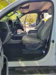 2019 Ford F-150 XLT   - Photo 10 - Albuquerque, NM 87110