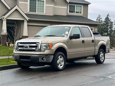 2013 Ford F-150 XLT Truck