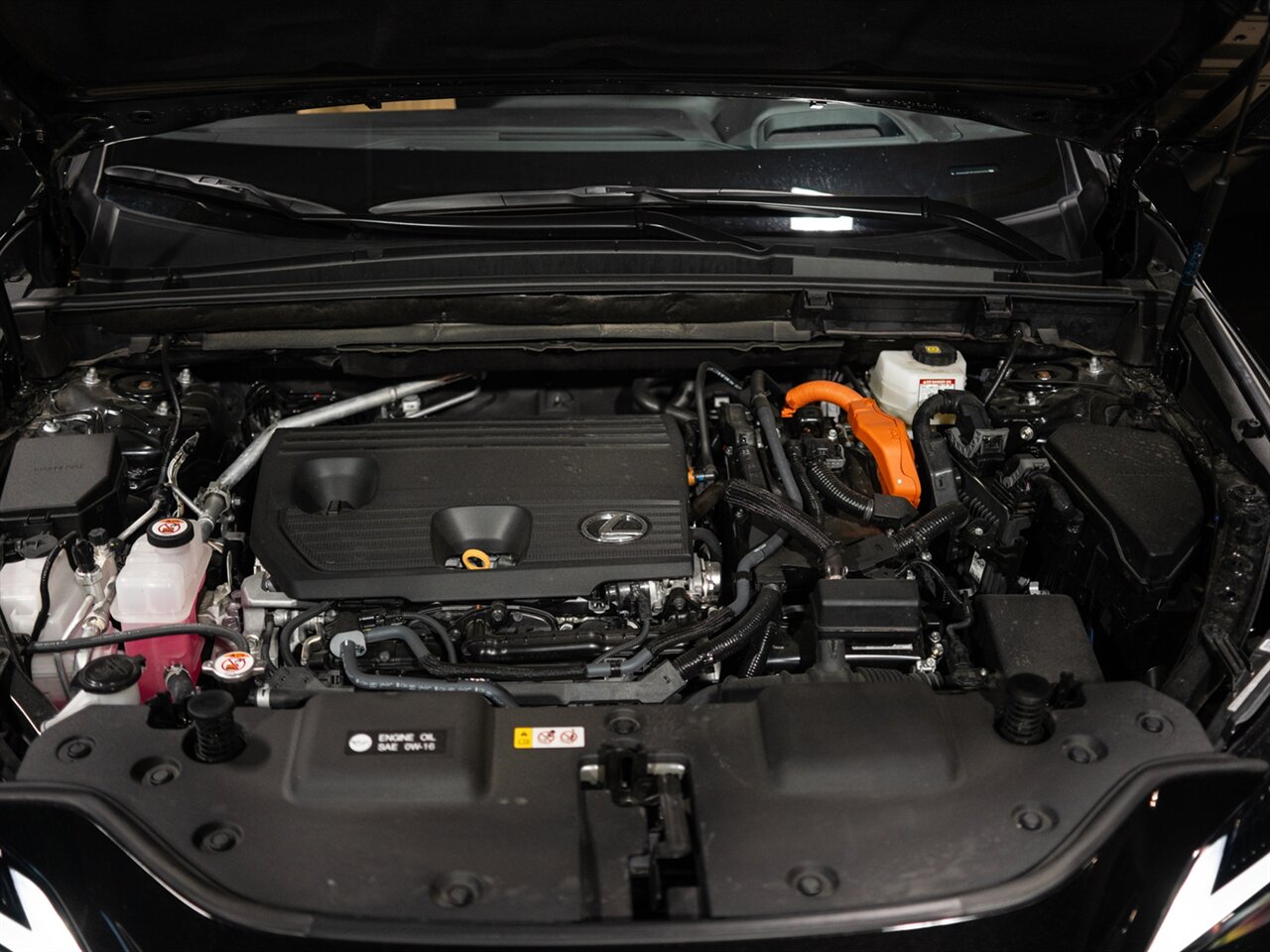 2025 Lexus NX 350h Premium - Photo 18 - Peoria, IL 61615