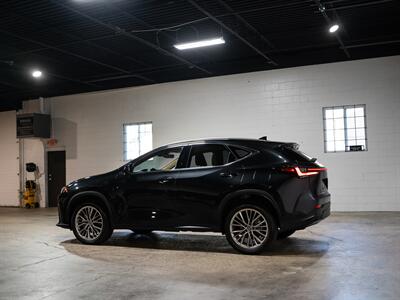 2025 Lexus NX 350h Premium - Photo 7 - Peoria, IL 61615