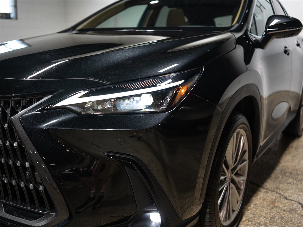 2025 Lexus NX 350h Premium - Photo 17 - Peoria, IL 61615