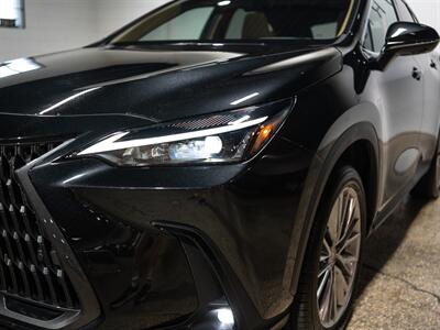 2025 Lexus NX 350h Premium - Photo 17 - Peoria, IL 61615