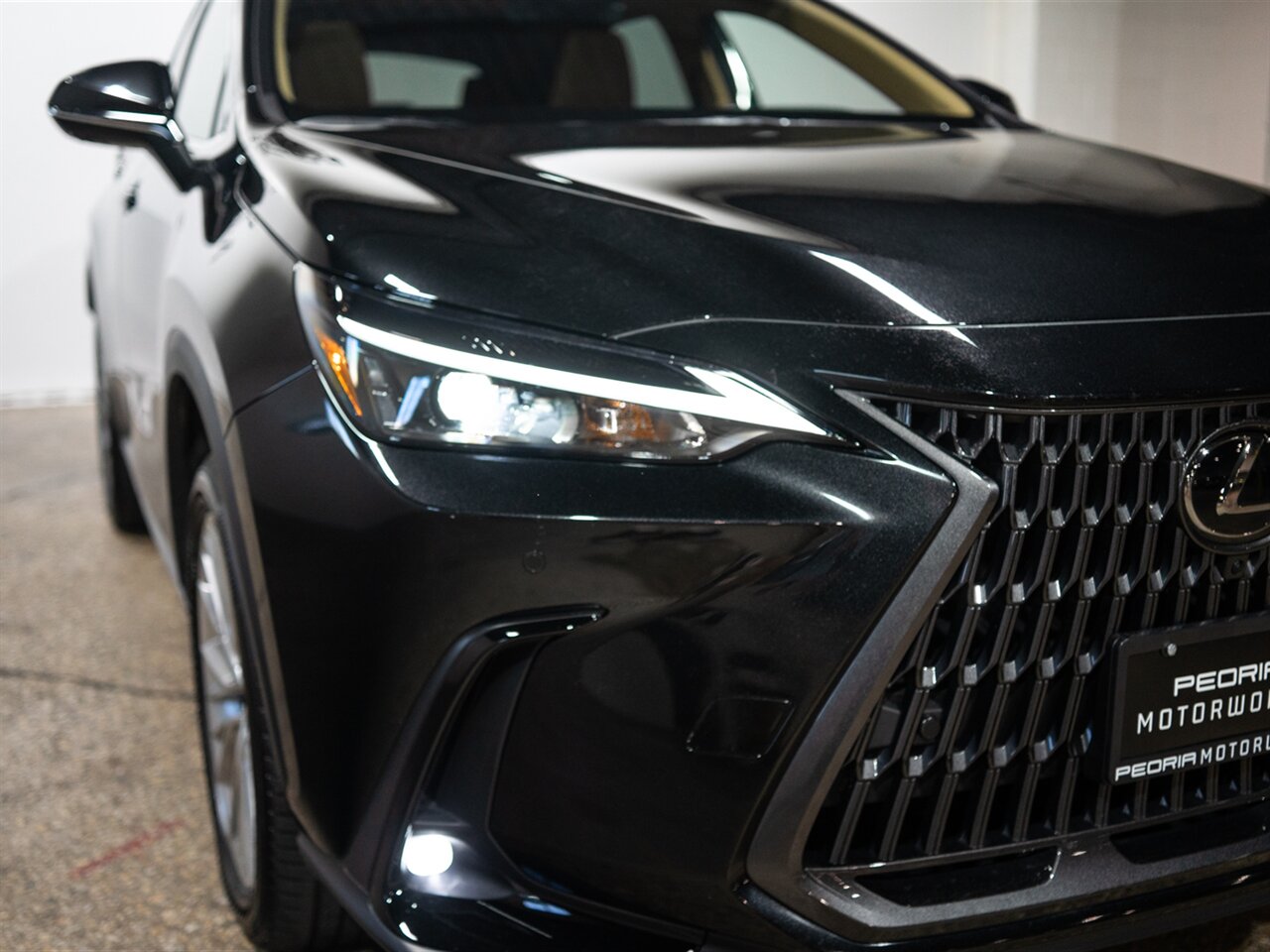 2025 Lexus NX 350h Premium - Photo 16 - Peoria, IL 61615