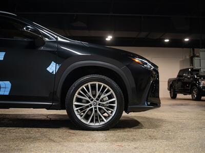 2025 Lexus NX 350h Premium - Photo 11 - Peoria, IL 61615