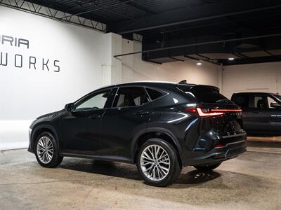 2025 Lexus NX 350h Premium - Photo 5 - Peoria, IL 61615
